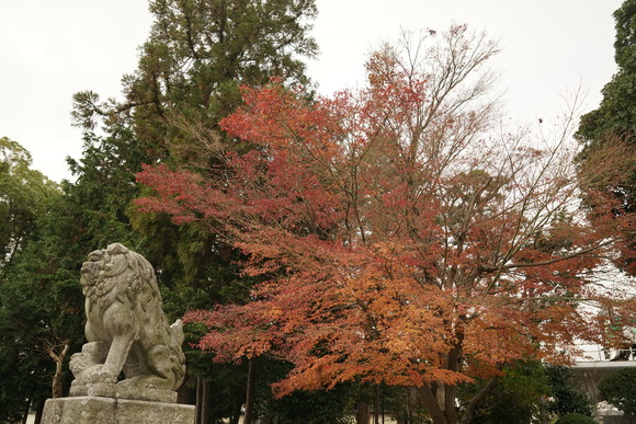 d0224253_2228979.jpg