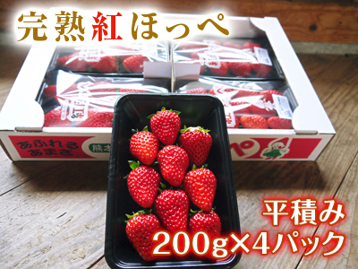 完熟紅ほっぺ 朝摘み完熟イチゴ!好評発売中!!_a0254656_17565264.jpg