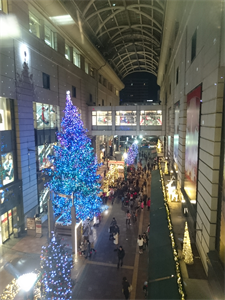 c0345259_16451617.png