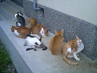 大人の秋の遠足_a0327760_19252550.jpg