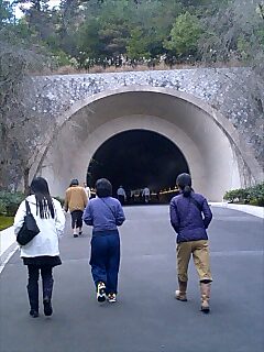 桃源郷でもお尻が熱い_a0327760_19263052.jpg