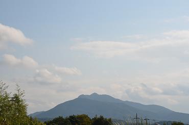 f0186462_1862227.jpg