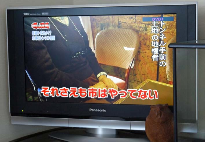 一報！緑の洞門の円覚寺側岩盤剥落：8・11_c0014967_19113943.jpg