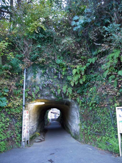 一報！緑の洞門の円覚寺側岩盤剥落：8・11_c0014967_19133714.jpg