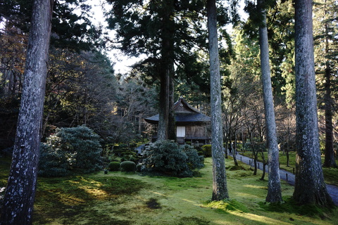 京都大原三千院。。。_c0183167_21453484.jpg