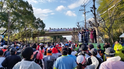 奈良マラソン_e0333567_1383265.jpg