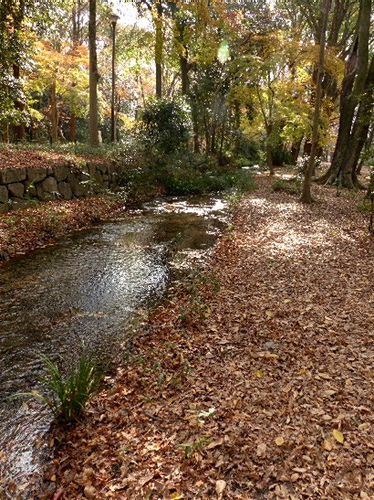 d0084473_19465934.jpg