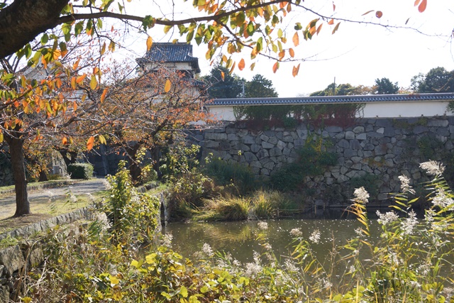軍師黒田官兵衛・黒田長政が残した福岡城を訪ねて・・・・秋の博多の旅 秋の黒田城_d0181492_14181011.jpg