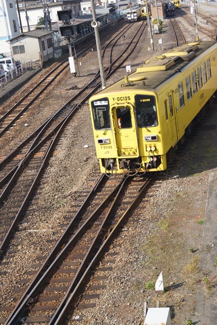 d0181492_1534834.jpg