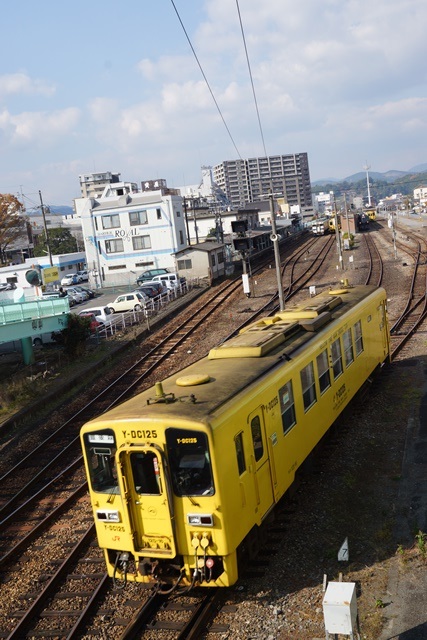 d0181492_1561873.jpg