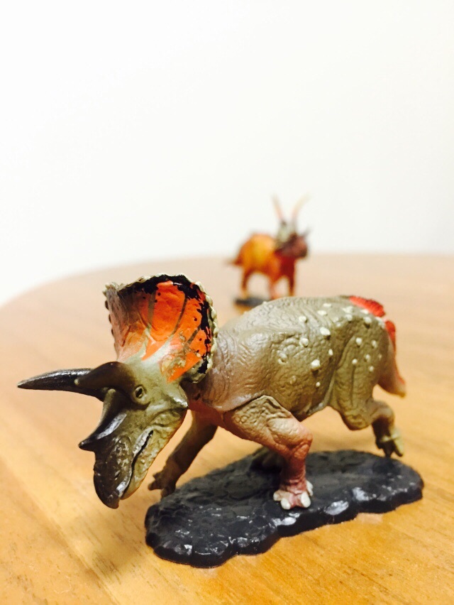 新春！1月パン作り体験教室のお知らせ_a0134394_17525861.jpg