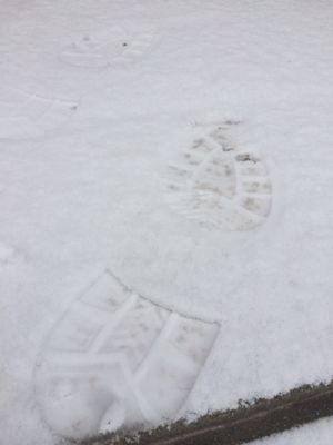 靴も肝臓もいたわりましょう。_d0166598_14455429.jpg