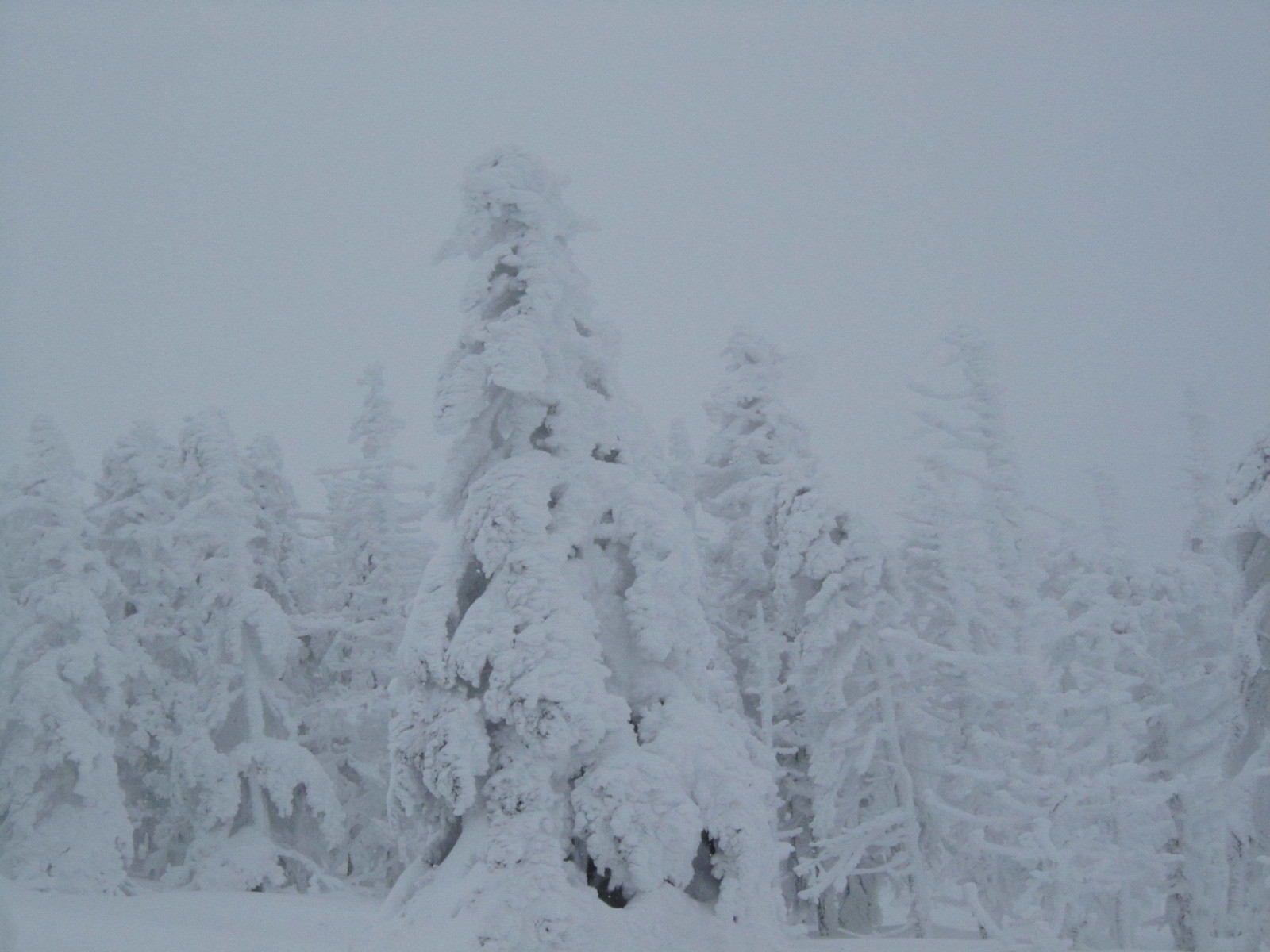 f0357499_22012781.jpg