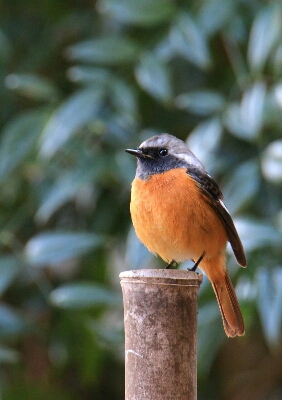 a0327600_1958599.jpg