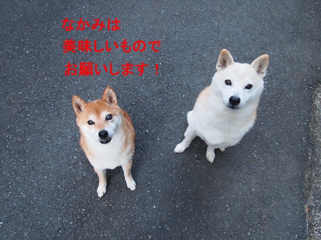 e0131506_18572727.jpg
