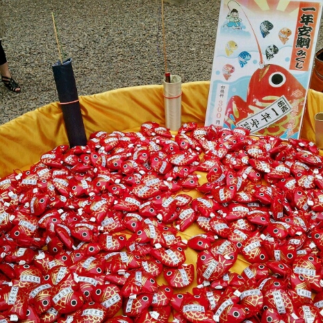 a0183009_1425347.jpg