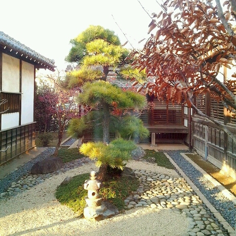 a0183009_1491652.jpg