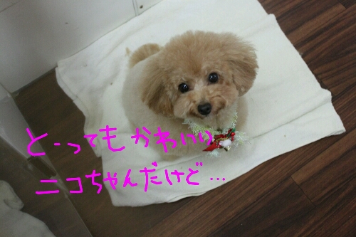 パーツ_b0130018_856162.jpg
