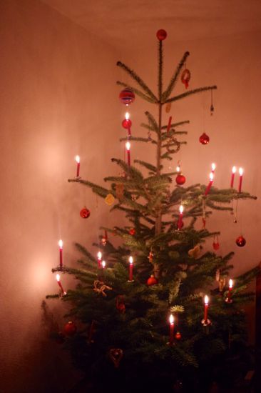 キャンドルを灯すドイツのクリスマスツリー ロンドン ２人暮らし