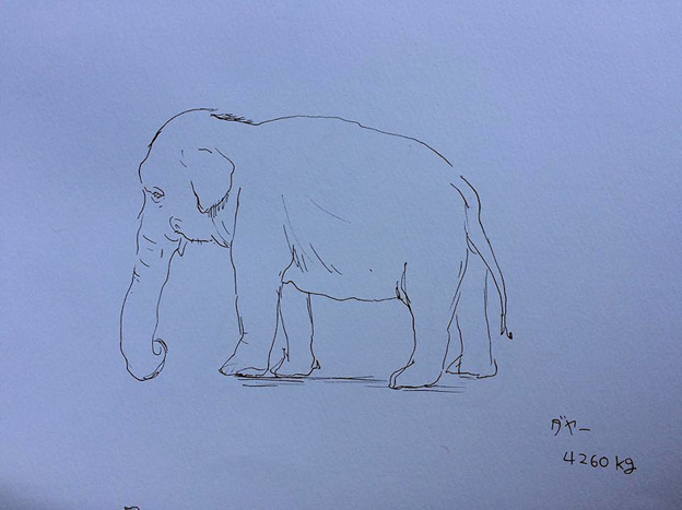 水彩画上野動物園の仲間達