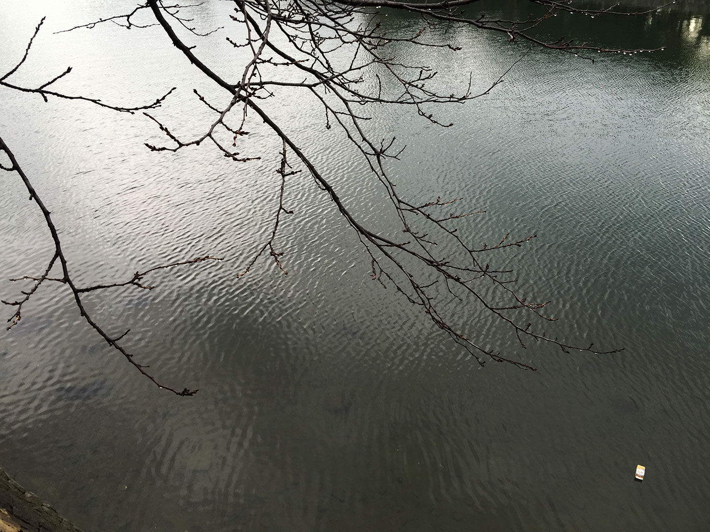 c0064025_16202067.jpg