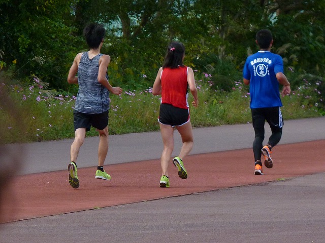 b0166128_95534100.jpg