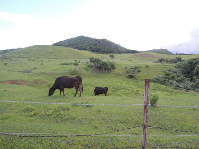 a0254130_16133624.jpg