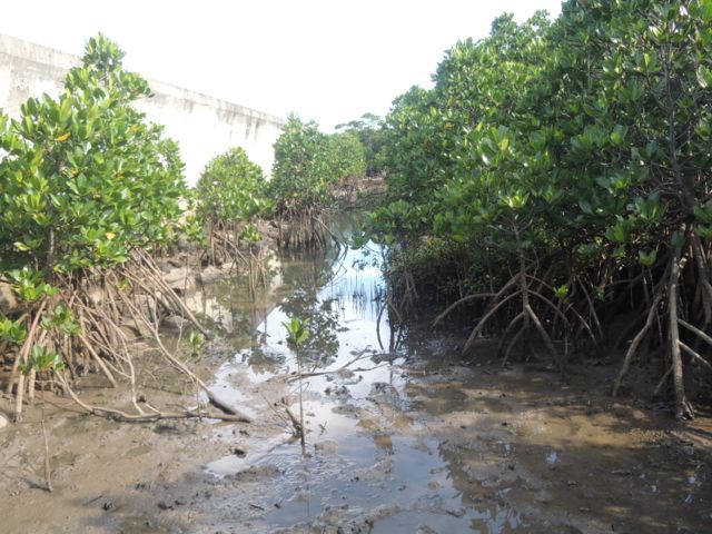 a0254130_16142899.jpg