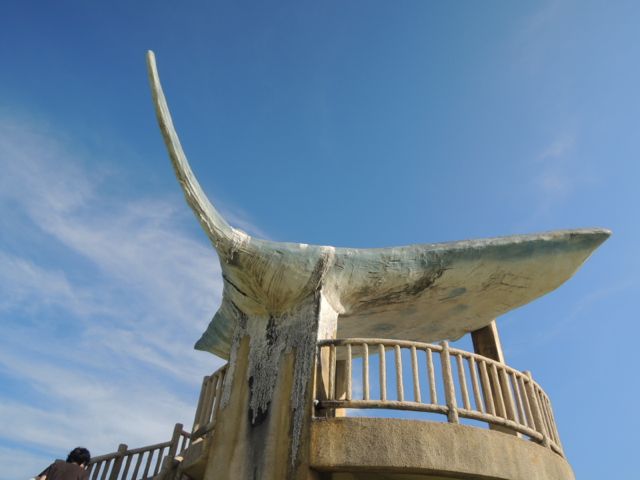 a0254130_16152567.jpg
