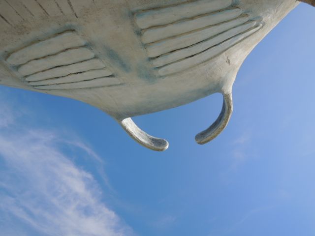 a0254130_16152881.jpg