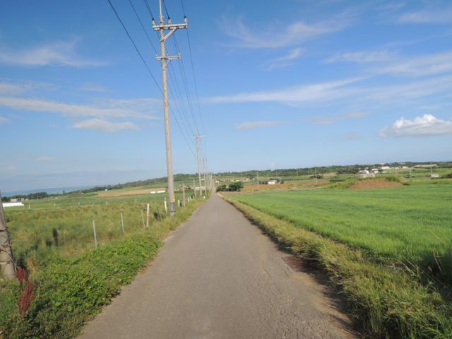 a0254130_16153453.jpg