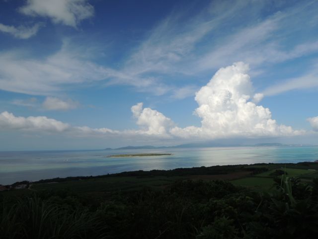 a0254130_16245263.jpg