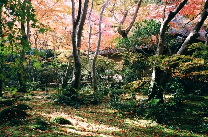 京都旅行 2日目_a0255730_16590514.jpg