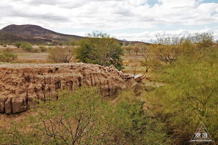391 Tucson ~サボテンの王国~_c0211532_16121748.jpg