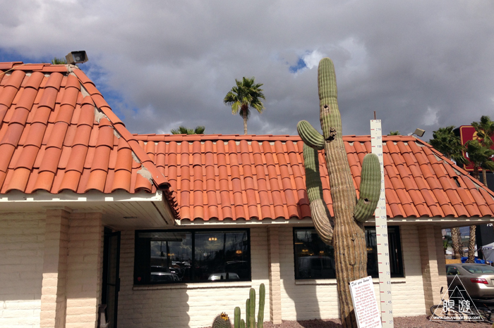 391 Tucson ~サボテンの王国~_c0211532_16152256.jpg