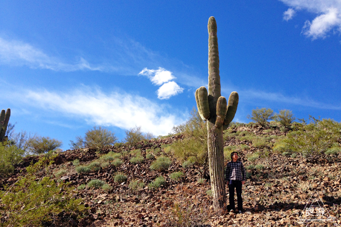393 Tucson ~Tucsonの街~_c0211532_1743163.jpg