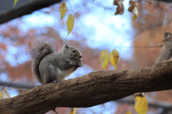 井の頭恩賜公園その２_f0229832_1929769.jpg