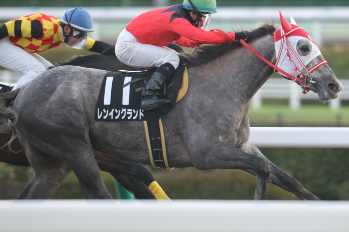 14 金鯱賞 みっちぃの競馬写真ブログ 14 金鯱賞 みっちぃの競馬写真ブログ