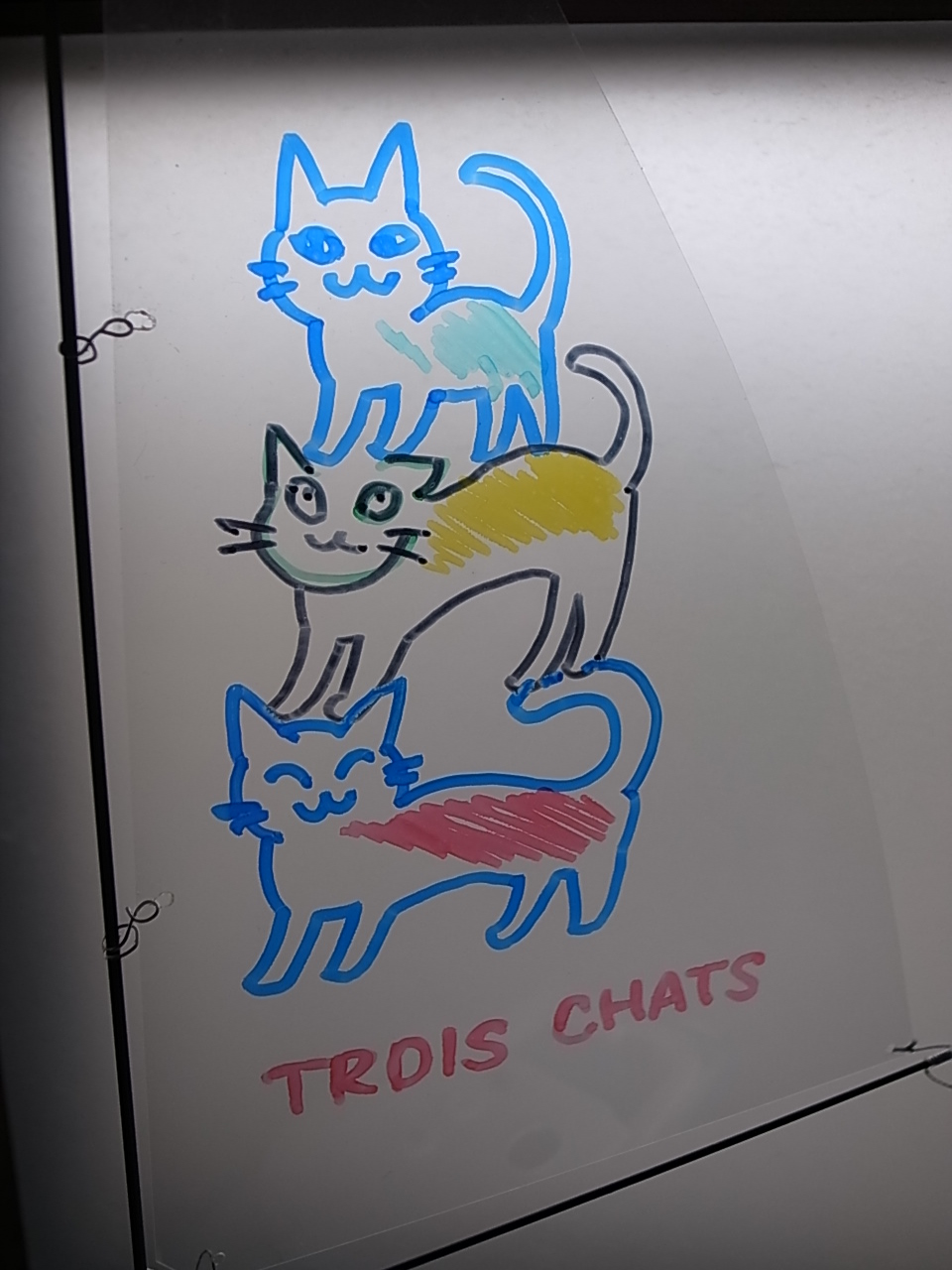 マイクロヨットTrois chats　3匹の猫　を仮組み_d0067943_1075743.jpg