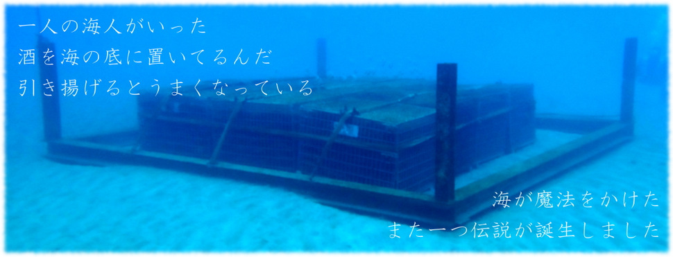 BARの銘店、南伊豆の海へ!_b0308353_15391066.jpg