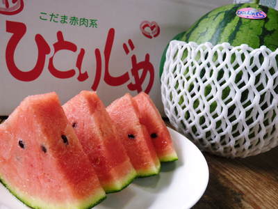 夢白菜 販売スタート!!しっかり冷え込んで、甘く育ちました!_a0254656_2141217.jpg