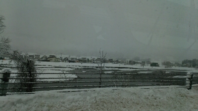 f0056270_8471657.jpg