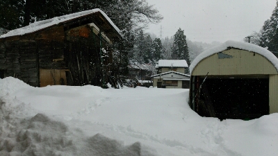 f0056270_8475910.jpg