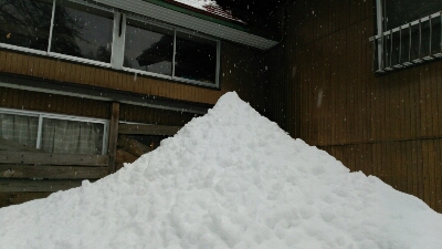 f0056270_8484116.jpg