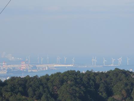 東山（松明峠）258ｍ　　　葦毛湿原より周回_f0302771_15302260.jpg