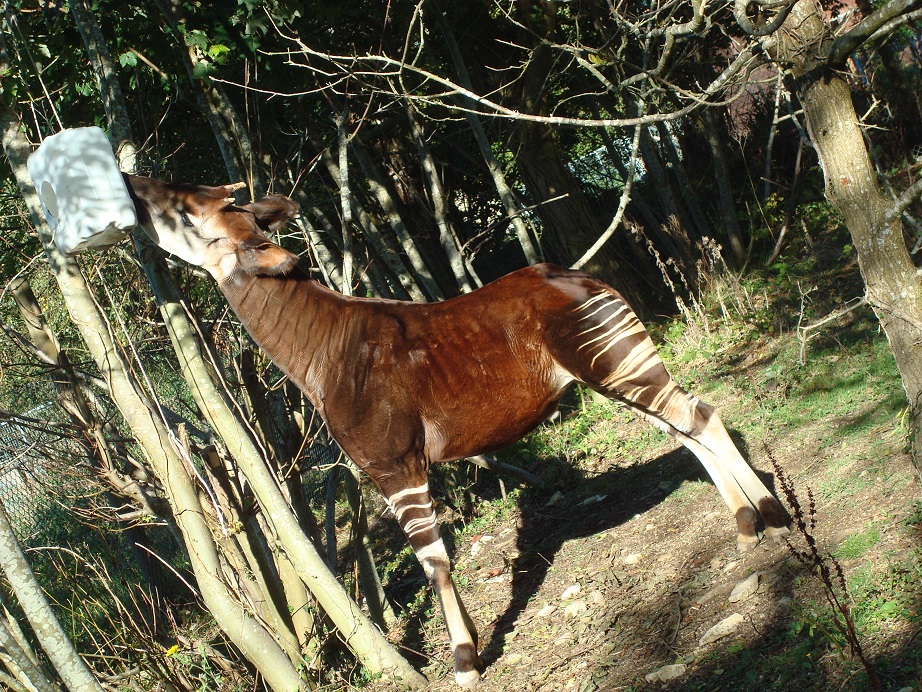 a0123372_8221040.jpg
