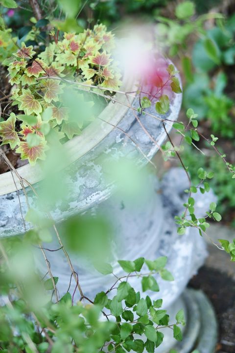 e0152576_2174132.jpg