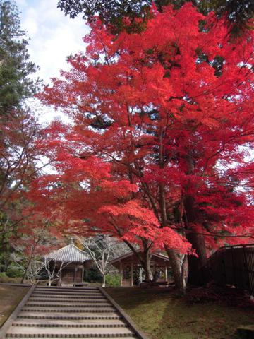 法華山　一乗寺へ③（加西市）_d0076283_1133876.jpg