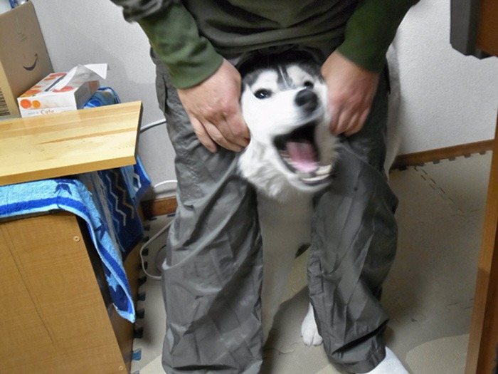 c0049299_2258522.jpg