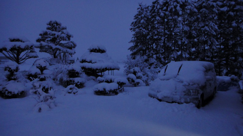 d0051707_08164239.jpg
